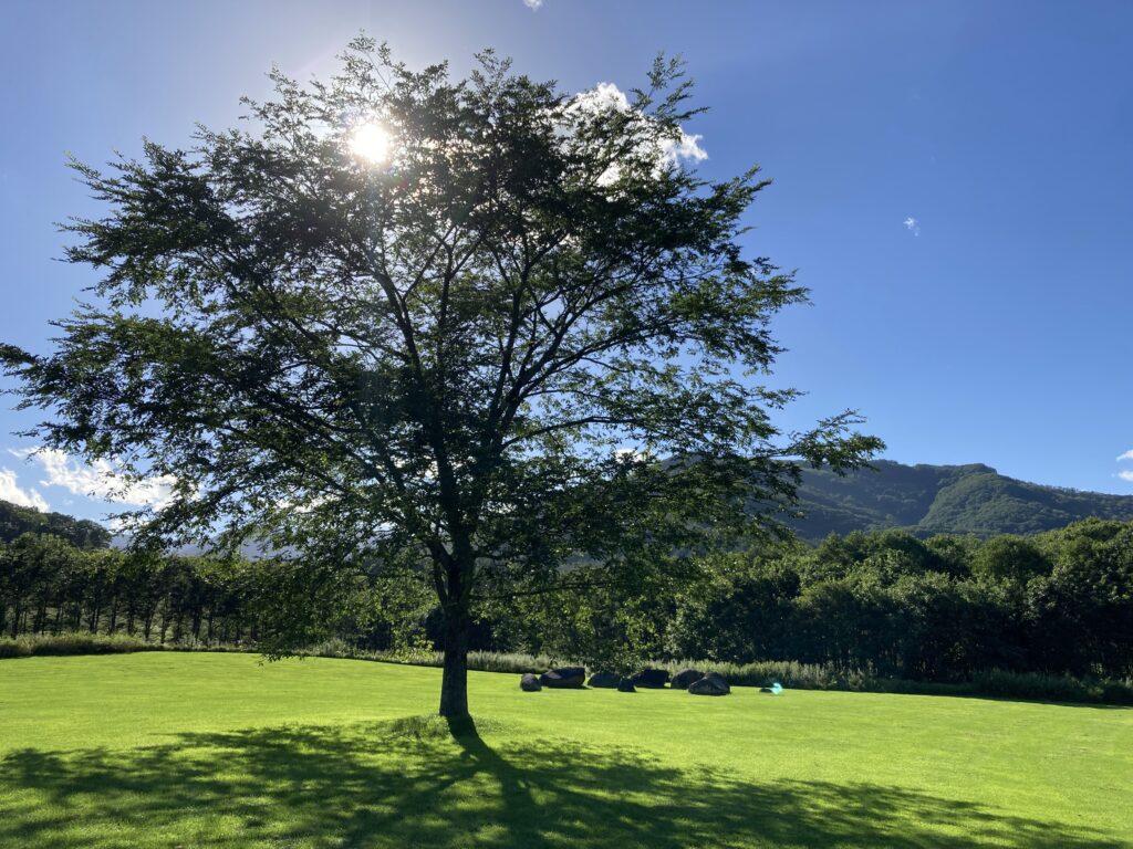 北海道『十勝千年の森』